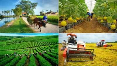 Kinh tế nông nghiệp - Giáo trình bài giảng và tài liệu ôn tập 3