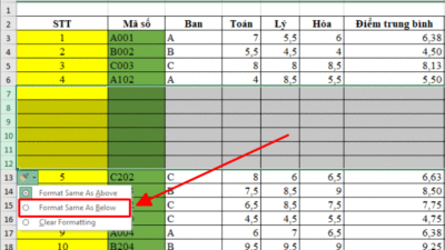 Mẹo chèn nhiều hàng trong Excel cực kì đơn giản 19