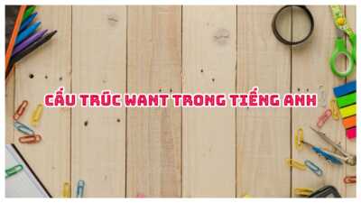 Cấu trúc Want trong tiếng Anh - Cách dùng và bài tập có đáp án 5