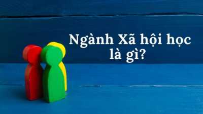 Ngành Xã hội học là gì?