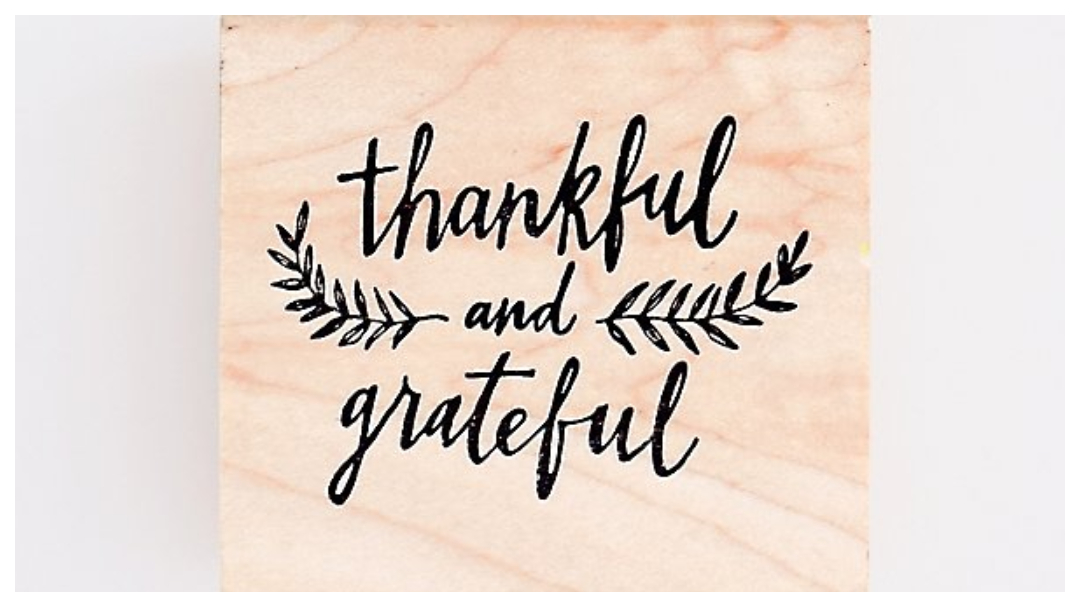 Phân biệt Grateful và Thankful trong tiếng Anh - Cách dùng và bài tập có đáp án