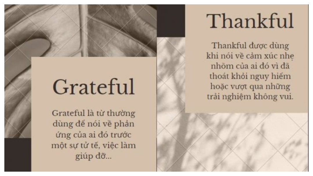 Phân biệt Grateful và Thankful trong tiếng Anh - Cách dùng và bài tập có đáp án