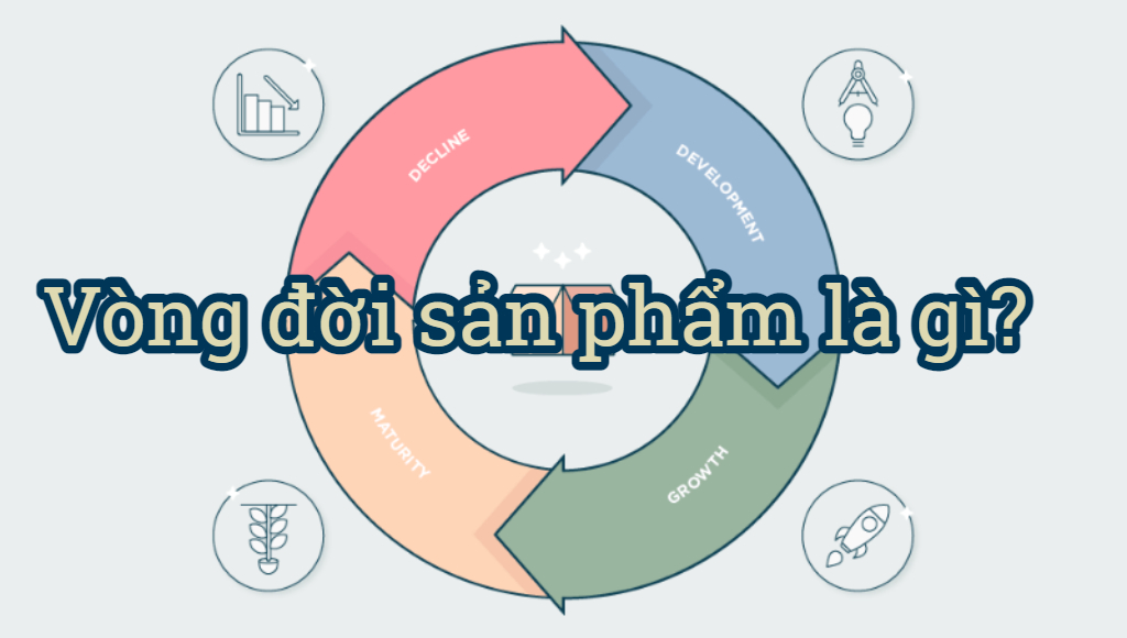 Vòng đời sản phẩm là gì? Các giai đoạn và 1 số ví dụ