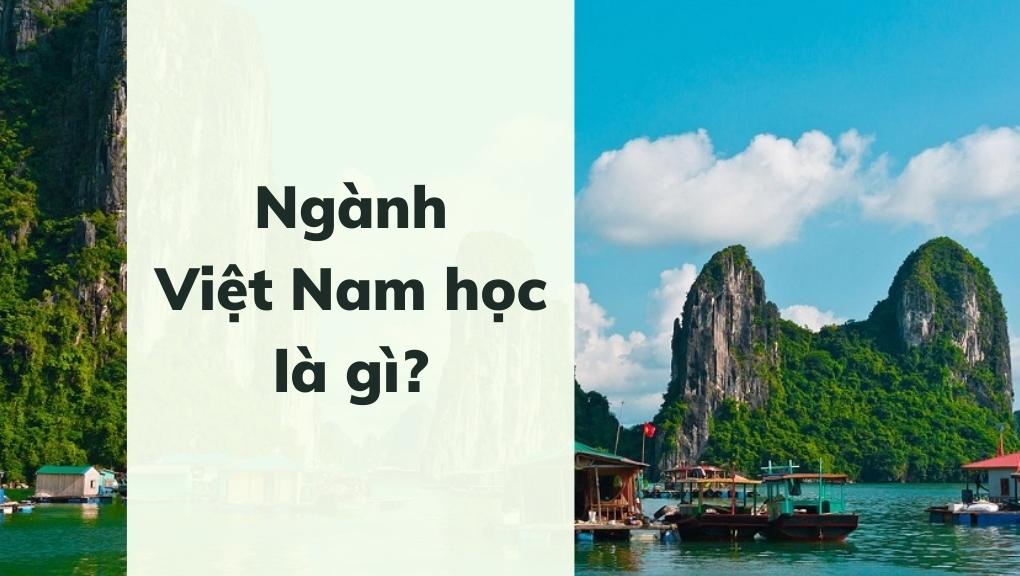 Ngành Việt Nam học là gì?