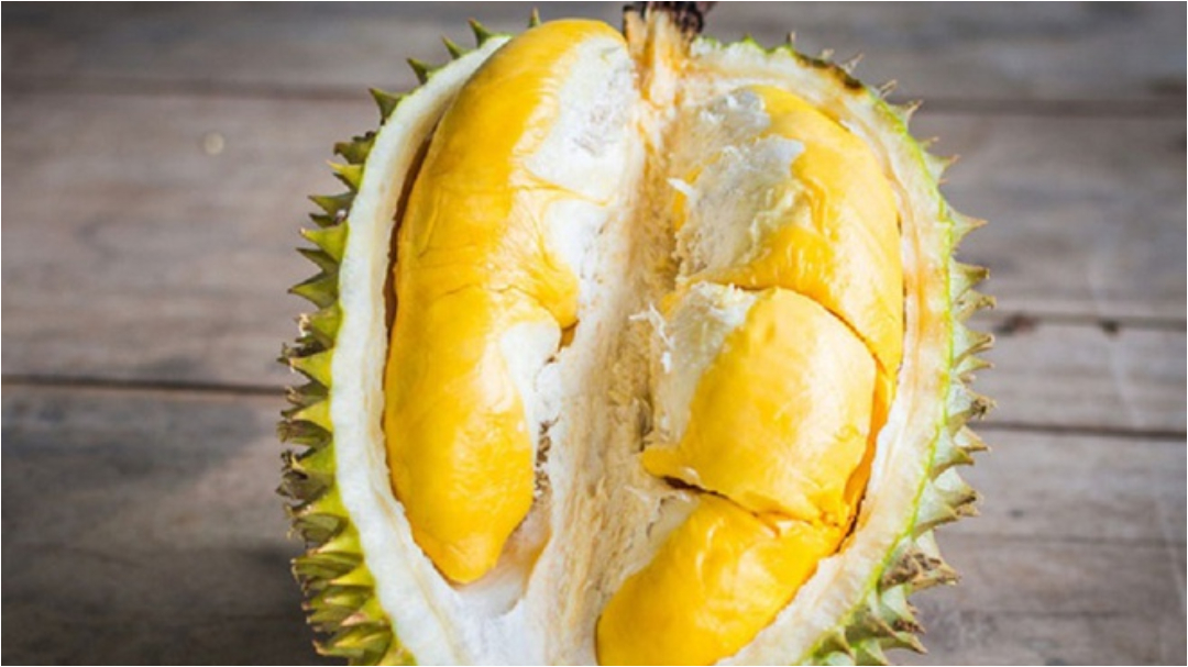 Ăn sầu riêng có béo không? Cách ăn sầu riêng không tăng cân 2