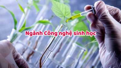 Ngành Công nghệ sinh học là gì? Cơ hội việc làm khi ra trường