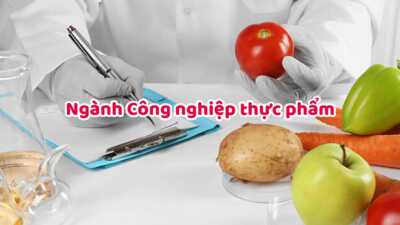 Ngành Công nghệ thực phẩm là gì? Cơ hội việc làm khi ra trường