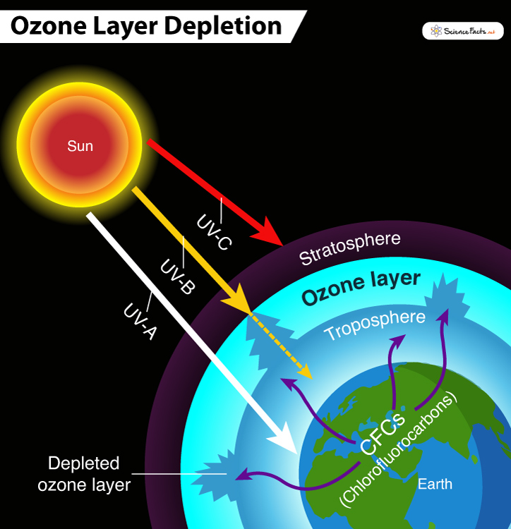 Tầng Ozon là gì? Vai trò, nguyên nhân và hậu quả suy giảm tầng Ozon