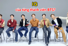 IQ của từng thành viên BTS - Ai sở hữu IQ cao nhất nhóm?