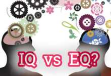 IQ và EQ là gì? 2 chỉ số IQ và EQ cái nào quan trọng hơn?